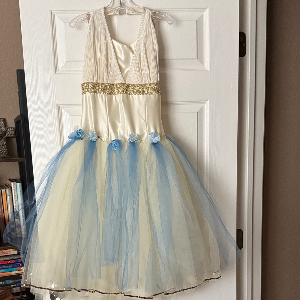 Lovely Tulle Ballet dress